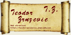 Teodor Zrnzević vizit kartica